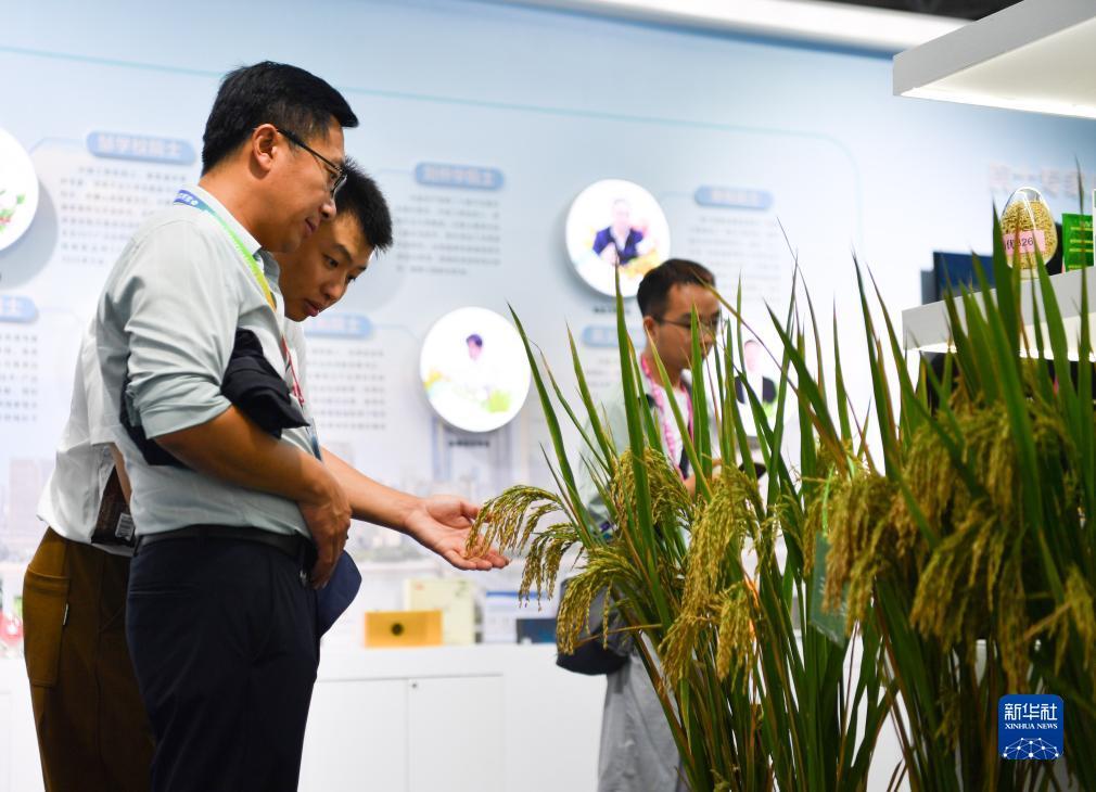 百佳乐游戏下载